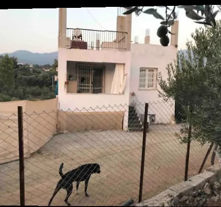 Elif-su1 Chalet *