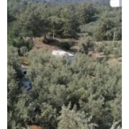 Elif-su1 * Fethiye